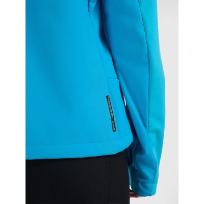 6. Softshell jacket 4F W 4FRAW25TSOFF505-33S