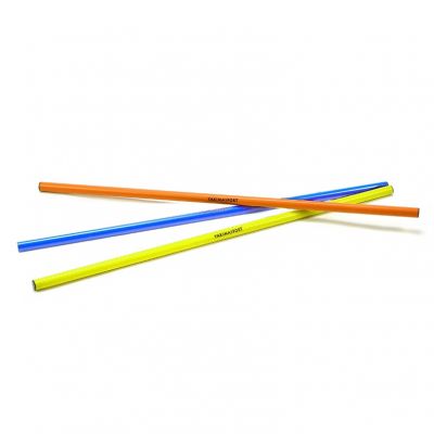 2. Training Cane 1.6 m Purple 100704