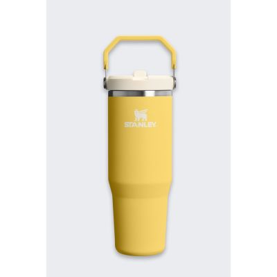 Stanley IceFlow Flip Straw Thermal Mug 20 08 D