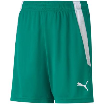 3. Puma teamLIGA Shorts Jr 704931 05