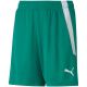 3. Puma teamLIGA Shorts Jr 704931 05