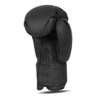 12. 10oz Boxing Gloves - Raptor - Origin Series