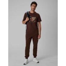 Men's jogger sweatpants 4F 4FRSS26TTROM2110-81S