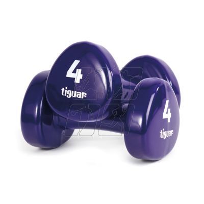 2. Tiguar vinyl dumbbells TI-HW0040BOX