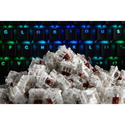 3. Glorious Gateron Brown Switches (120 pieces)
