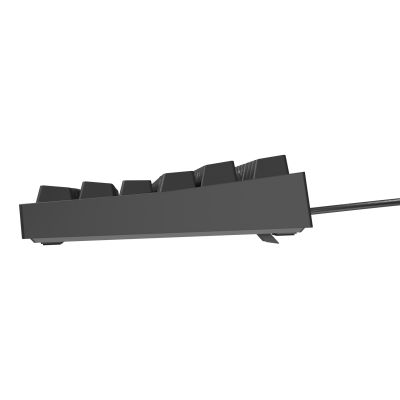 24. GENESIS Thor 404 TKL Gaming Keyboard USB QWERTZ German Black