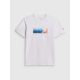 Men's regular printed T-shirt 4F 4FWSS26TTSHM3335-10S
