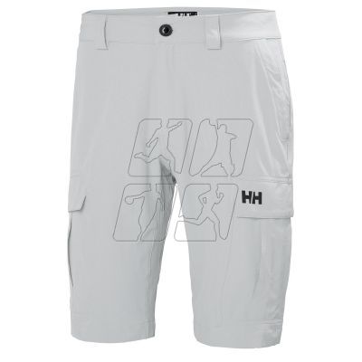 3. Helly Hansen Cargo Short M 54154 853