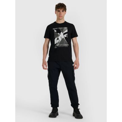 4. Men's T-shirt 4F 4FRAW25TTSHM3258-20S
