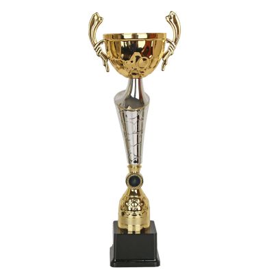 W2173 Triumph Cup