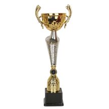 W2173 Triumph Cup