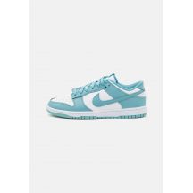 Nike Dunk Low Retro M DV0833-106 shoes 