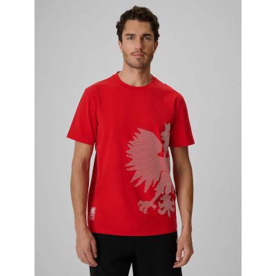 Men's cotton fan T-shirt 4F 4FRSS26TTSHM4200-62S
