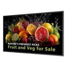Philips 5000 series 43BDL5050D Digital Signage Flat Panel 108 cm (42.5") LCD Wi-Fi 600 cd/m2 4K Ultra HD Black Embedded Processor Android 14 24/7