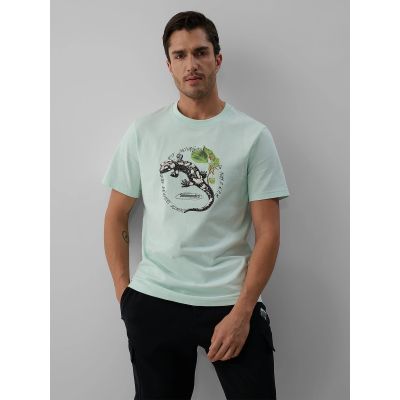 Men's regular printed T-shirt 4F 4FKAW26TTSHM4474-47S