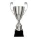 2. Silver metal cup TM
