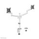 21. Neomounts DS60-425WH2 Monitor Holder/Stand 68.6 cm (27") Desk White