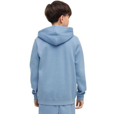 4. Puma ESS Small No.1 Logo Centered Hoodie for Kids blue 692976 26