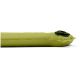 6. SEA TO SUMMIT Camp Mat Tarragon Self-Inflating Mat