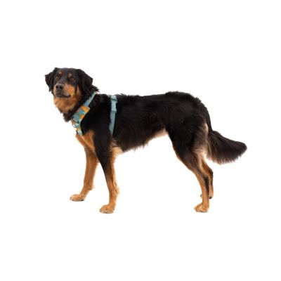 7. Ruffwear 30503-355S1 Dog/Cat Harness XS Green Nylon, Polyester Dog Non-Stretch Harness
