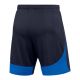 2. Nike Dri-FIT Academy Pro M DH9236-451 Shorts