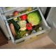 14. ELECTROLUX ERD6DE18S1 refrigerator
