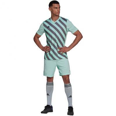 6. adidas Entrada 22 Graphic Jersey M HF0119