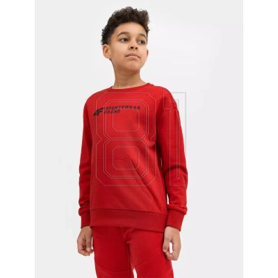 10. Sweatshirt 4F Jr. 4FJSS23TSWSM222-62S