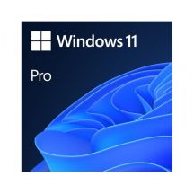 MS Windows 11 Professional 64bit Polish 1pk DVD OEM