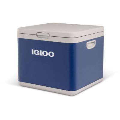 4. IGLOO IH45 Hybrid Compressor/Thermoelectric Electric Cooler (43 litres)