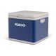 4. IGLOO IH45 Hybrid Compressor/Thermoelectric Electric Cooler (43 litres)