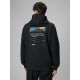 2. Men's regular hooded sweatshirt 4F 4FRSS26TSWSM2894-20S