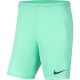 4. Nike Dry Park III NB KM BV6855 354 Shorts