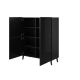 2. ABETO bookcase 100.5x40xH121.5 black/gloss black