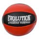 EVOLUTION TR-120 MEDICINE BALL, GENUINE LEATHER, 2 KG