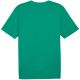 2. Puma Team Rise Logo Jersey Cotton M 658705 05