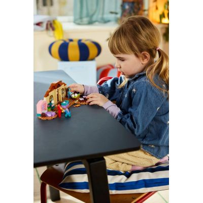 7. LEGO Bluey 11221 - School with Ryżyk and Blue