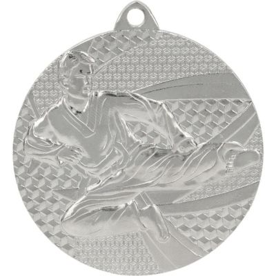 3. Silver medal - karate - steel medal