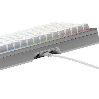 5. Glorious Gaming GLO-KB-GMMK3-PRO-65-PB-FOX-W-SIL-US keyboard