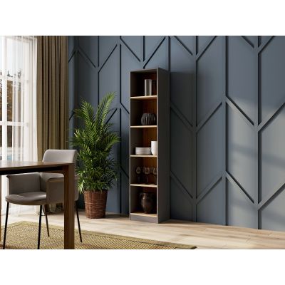 3. R40 bookcase 40x30xH181 anthracite/artisan
