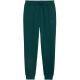 2. Men’s Puma ESS no.1 Logo Sweatpants FL green 682607 70