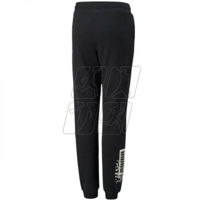 2. Pants Puma Alpha Sweatpants FL cL G Jr 670222 01