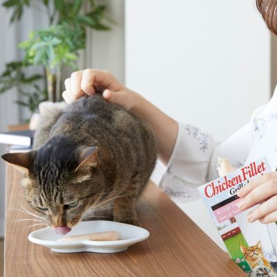 10. INABA Grilled Chicken Chicken fillet in scallop-flavored broth - a treat for cats - 25 g