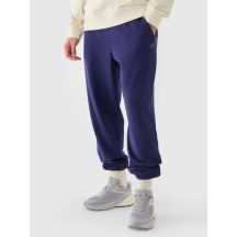 Men's jogger sweatpants 4F 4FWMM00TTROM1139-31S