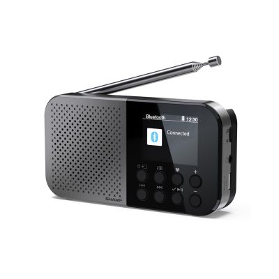 7. Sharp DR-P520 Personal Digital Gray