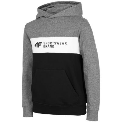 Sweatshirt 4F Jr HJZ22 JBLM003 24M