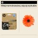 14. HP Original Black Ink Cartridge 937e EvoMore