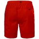 2. Helly Hansen Calshot Trunk M 55693-222 shorts