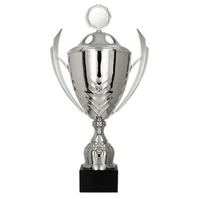 6. Metal cup with a lid