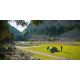 15. Coleman Pingora 3 BlackOut Green, Gray Multi-Person Tent